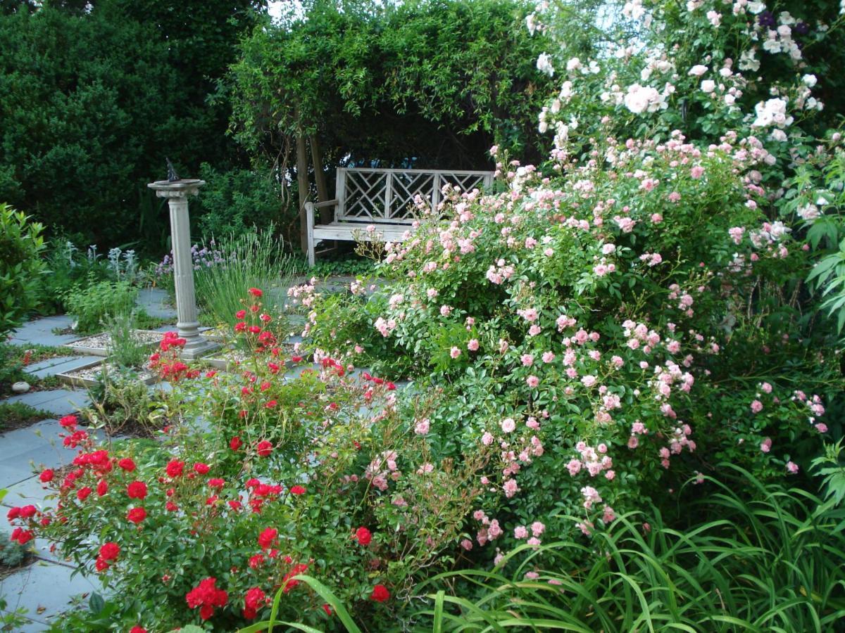 Newport House Bed & Breakfast 威廉斯堡 外观 照片